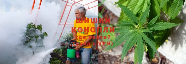 бошки Алзамай