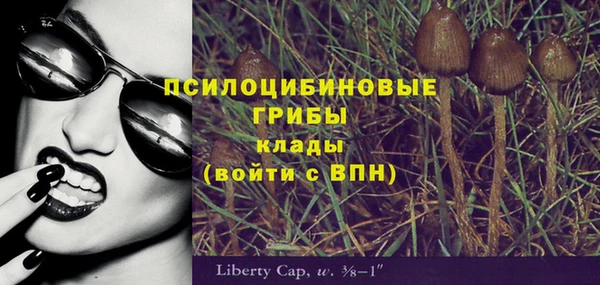 apvp Алексеевка