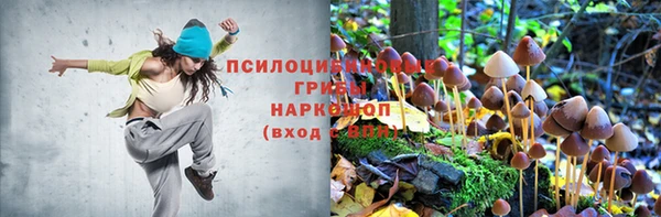 бошки Алзамай