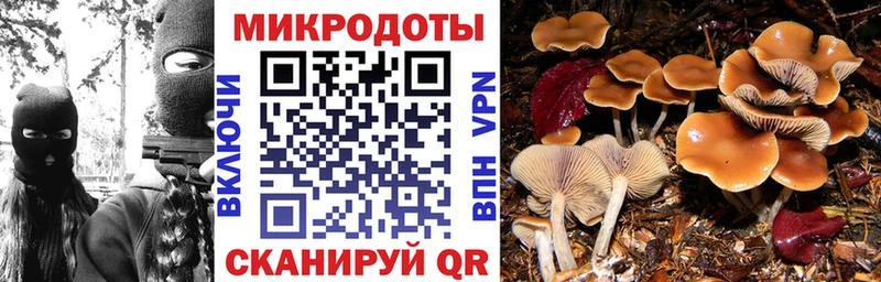 Галлюциногенные грибы MAGIC MUSHROOMS  Слободской 