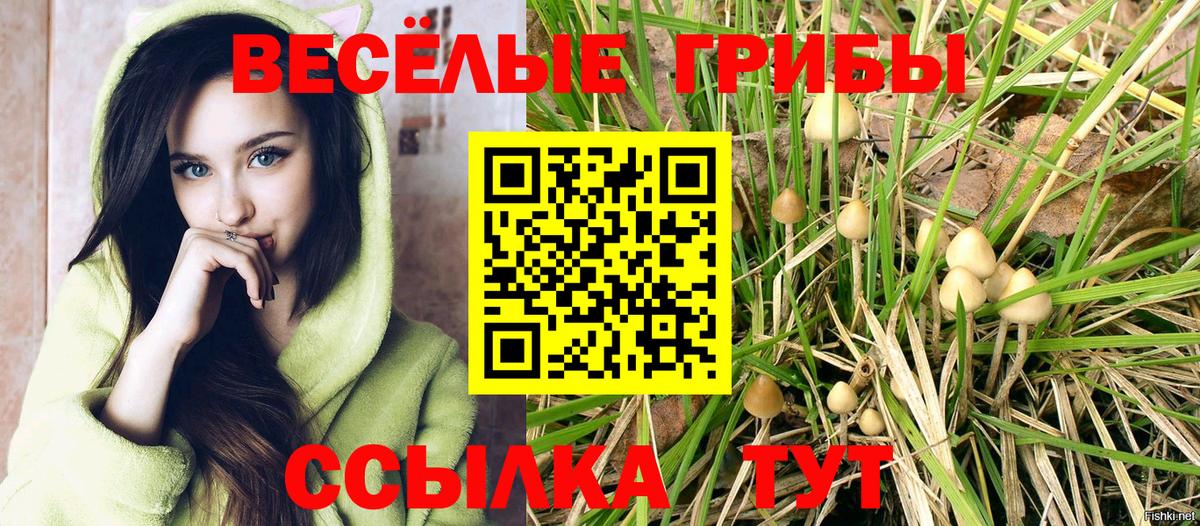 Слободской  как найти закладки  Галлюциногенные грибы MAGIC MUSHROOMS  Вход с VPN  Псилоцибиновые грибы Cubensis 